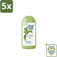 Dove 5 x Powered by Plants - Oil Body Wash - Eucalyptus - 250 ml - Wasstrips - Natuurlijke Verzorging - Eucalyptus - Olie - Lichaamsschoonmaak - Hydraterende Douche
