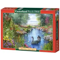 Castorland Puzzel 1500 Stukken - Zwarte Zwanen Decoratief