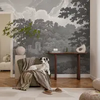 Coloray Vliesbehang - Zwart-Wit Snellijm Behang - 250x104 cm - Natuurlijk Landschap Muurschildering - Slaapkamer behang Landschappen - Fotobehang Vlies - Slaapkamer behang