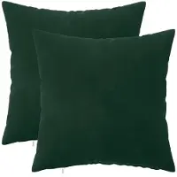 vidaXL Kussensloop 2 st HEERLEN Donkergroen 45 x 45 cm fluweel