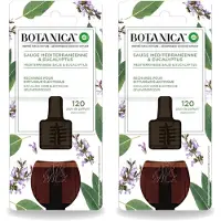 Air Wick 2 x – Navulling – Botanica Mediterrane Salie & Eucalyptus – 19 ml - Voordeelverpakking - 2 stuks