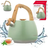 Klausberg 9039 - Fluitketel met fluit - 2.5 liter - RVS - groen