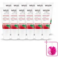 Weleda 12 x - Tandvleesbalsem - 30 ml - Bulkverpakking - Tandvleesbalsem - Douchemop - Tandvlees verzachten