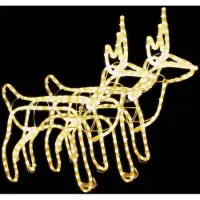 vidaXL Kerstfiguur rendier 2 st 60x30x60 cm warmwit