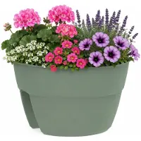 Eda Balkon plantenbak / bloempot Osaka - groen - 30 x 20 cm - rond - kunststof - voor planten en kruiden