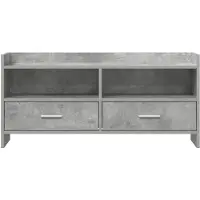vidaXL TV-kast, 100 x 33 x 47 cm, betonkleur, houtvezel