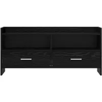 vidaXL TV-kast, 100 x 33 x 47 cm, zwart eikenfineer, houtvezel