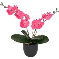 vidaXL Kunstorchidee Plant Rood 36 x 10 x 30 cm Stof, PE en PEVA