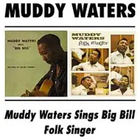 Import Sings Big Bill/Folk Singer