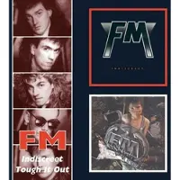 Import Indiscreet - Tough it out