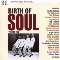 Import Birth of soul vol 2