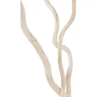 J-Line droogbloem - riet - wit - large - 3 stuks