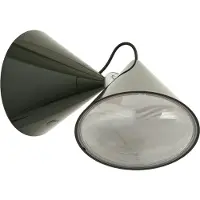 Tom Dixon Pose Surface Wandlamp Kelp