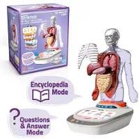 Canal Toys Vozpedia Van Het Menselijk Lichaam