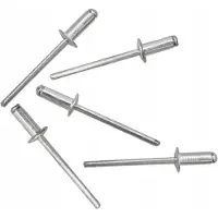 Rexxer Aluminium Klinknagels 4.0x10 mm - 50 Stuks