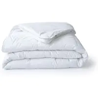 Eleganzzz 100% Bamboe Viscose 4 Seizoenen Dekbed - 200x220 - Zomerdekbed & Winterdekbed - Anti Allergie - 500 gr/m2 - 4 Seizoenen Dekbed 200x220 - Tweepersoons - Dekbedden
