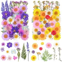Famanu – Geperste gedroogde bloemen set met 81 stuks voor sieraden en scrapbooking