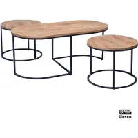 Benoa Oval Coffee Table Set Of 3