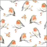 Ambiente Servetten Robin Family 33cm