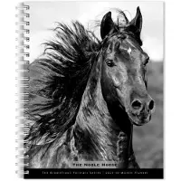 BrownTrout The Noble Horse Agenda 2027