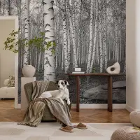 Coloray Vliesbehang - Zwart-Wit Snellijm Behang - 208x146 cm - Berkenbos Muurschildering - Gang behang Bloemen En Planten - Fotobehang Vlies - Slaapkamer behang