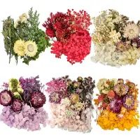 Famanu – Set van 6 zakjes natuurlijke gedroogde bloemen in verschillende kleuren voor knutselen