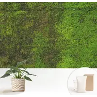 Wallfluent Fotobehang - Groente Vliesbehang - 152x104 cm - Groene Loper Muurschildering - Slaapkamer behang Texturen - Fotobehang Vlies - Gang behang