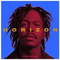 Virgin Music Group B V Cnt HORIZON