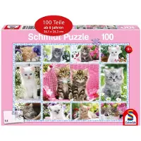 Schmidt Kittens. Puzzel van 100 stukjes