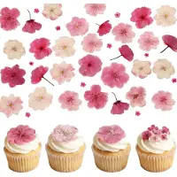 Famanu – Roze gedroogde bloemen voor taartdecoratie en harskunst, set van 50 stuks