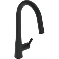 Hansa Designo - Keukenkraan met uittrekbare handdouche, mat zwart 5136228333