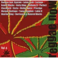 Import Reggae now 4/various