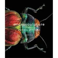 Abrams Microsculpture portraits of insects - Levon Biss
