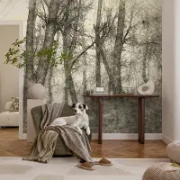 Coloray Vliesbehang - Zwart-Wit Snellijm Behang - 250x250 cm - Bosmelancholie Muurschildering - Gang behang Landschappen - Fotobehang Vlies - Slaapkamer behang