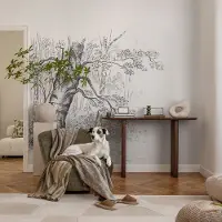 Coloray Vliesbehang - Zwart-Wit Snellijm Behang - 250x250 cm - Bosboom Fotobehang Vlies - Hal behang Bloemen En Planten - Muurschildering - Woonkamer behang