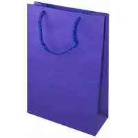 Allbag Papieren Cadeautas Donkerblauw Prestige 17x7x25 cm - Set van 5