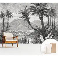Wallfluent Fotobehang - Zwart-Wit Vliesbehang - 312x219 cm - Tropische Oase Muurschildering - Gang behang Landschappen - Fotobehang Vlies - Gang behang