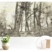 Wallfluent Fotobehang - Zwart-Wit Vliesbehang - 104x70 cm - Bosmelancholie Muurschildering - Gang behang Landschappen - Fotobehang Vlies - Slaapkamer behang
