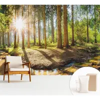 Wallfluent Fotobehang - Groente Vliesbehang - 312x219 cm - Idylle In Het Bos Muurschildering - Slaapkamer behang Landschappen - Fotobehang Vlies - Gang behang