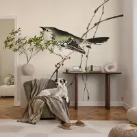 Coloray Vliesbehang - Wit Snellijm Behang - 416x254 cm - Harmonieuze Vogel Fotobehang Vlies - Woonkamer behang Dieren - Muurschildering - Hal behang