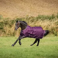 Bucas Winterdeken Freedom Turnout Aw26 150gr Donkerrood - 140/191