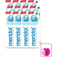 Meridol 12 x - Tandpasta - Dagelijkse Tandverzorging - Beschermt tegen Tandvleesproblemen - 75 ml - Bulkverpakking - Tandpasta - Douchemop - Tandvlees