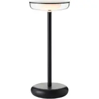 Brilliant Platon LED buitenwandlamp 27 cm, 2W, warm wit, IP44, zwart, transparant, USB, modelnummer G99569/06