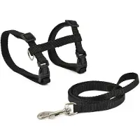 Nayeco Basis Kattenharnas &amp; Riem
