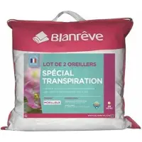 Blanreve Set van 2 kussens Speciale transpiratie - 60 x 60 cm - Wit