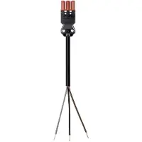 Wieland Electric 92.232.6063.4 Aansluitkabel Zwart 6 m