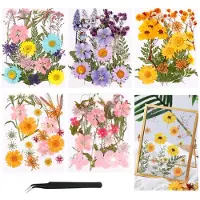 Famanu – Natuurlijke gedroogde bloemen set van 96 stuks voor decoratie en gastgeschenken