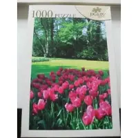 Jigsaw Tulpen Tuin 1000 by Ptz