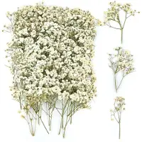 Famanu – Set van 100 gedroogde gypsophila bloemen voor knutselen en decoratie