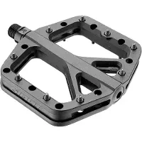 Giant Pinner Elite Pedalen